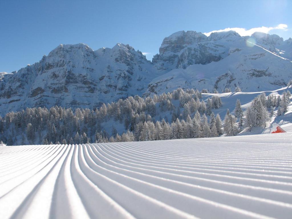 Chalet Fiocco Di Neve Pinzolo Exteriér fotografie